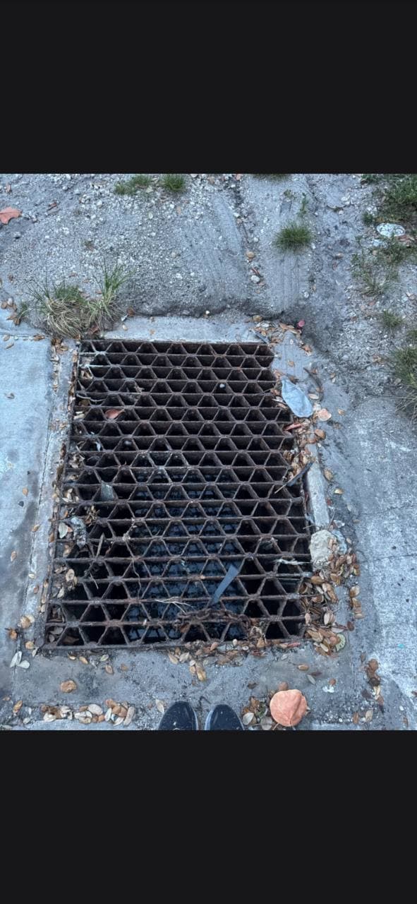 Storm drain cleared of litter and leaves