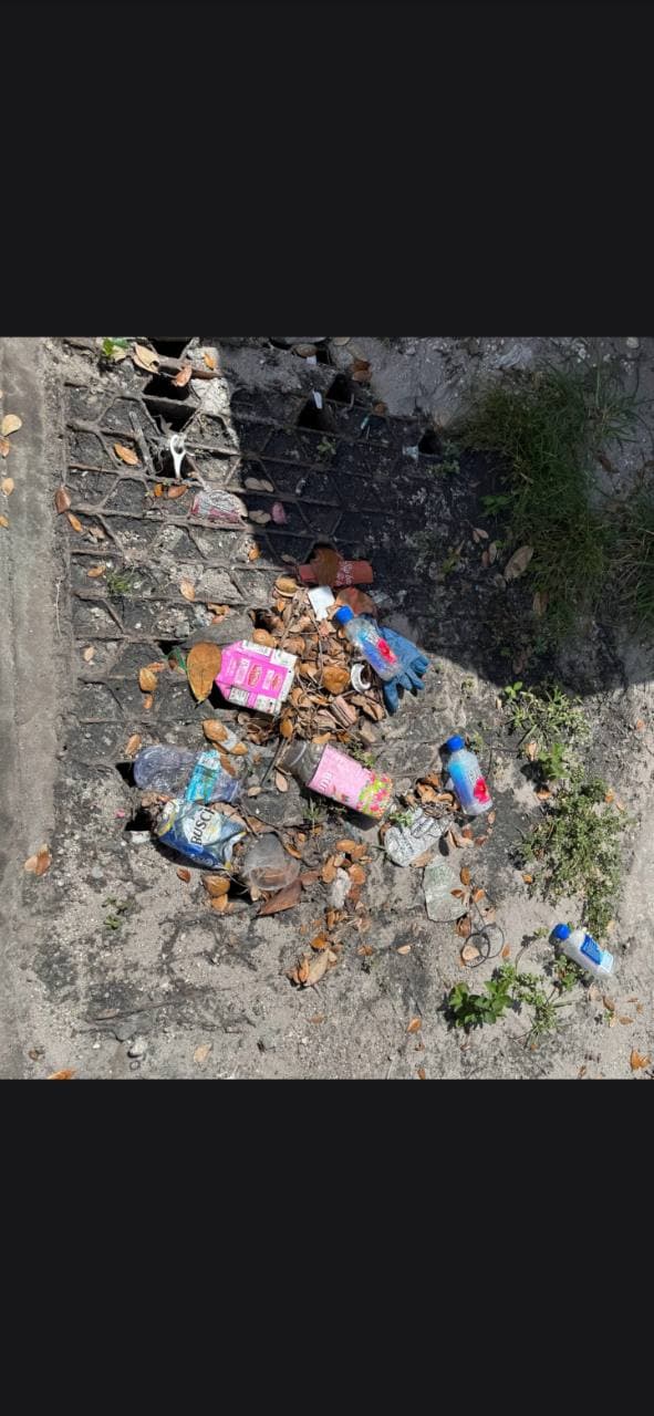 Storm drain blocked by litter and leaves before clearing