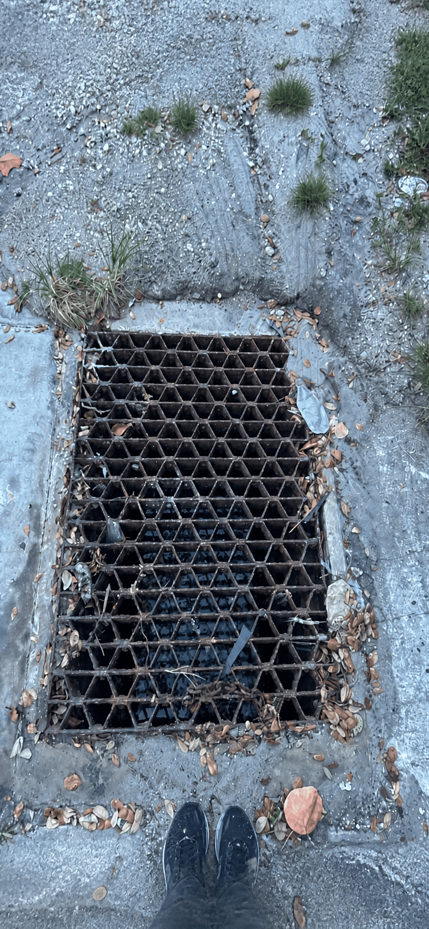 A cleared storm drain grate ready to carry away rainwater