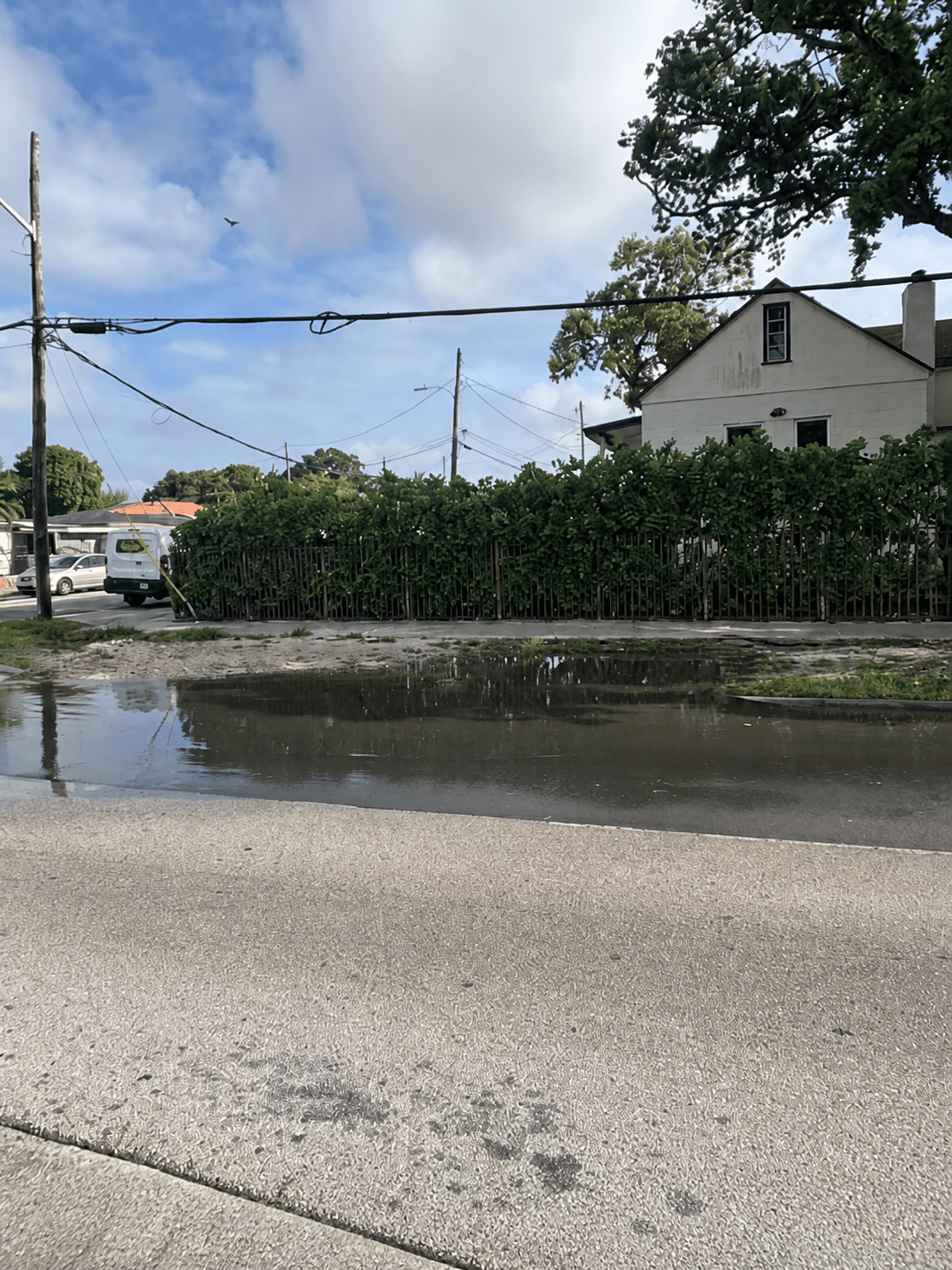 Floodwater pooling along a residential street