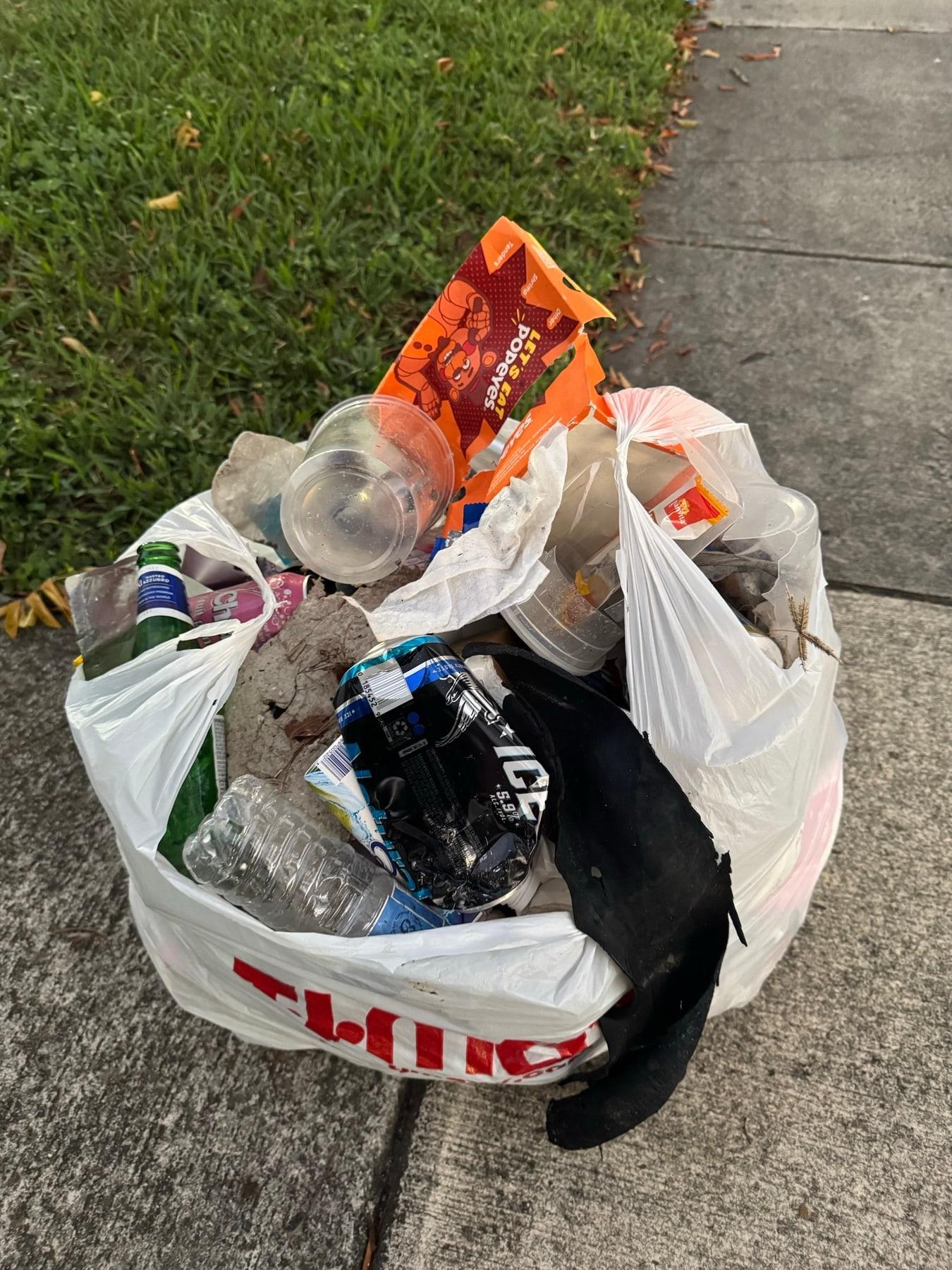 Bottles, cans, and food wrappers collected on the grass