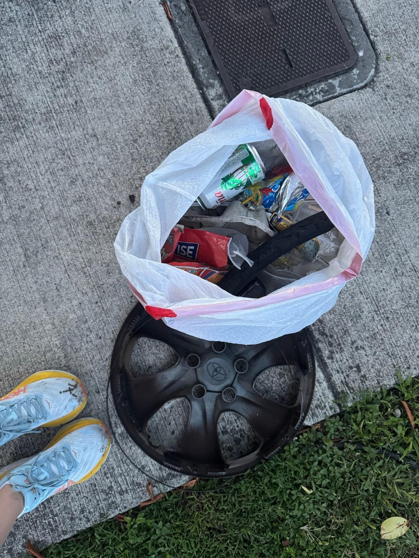 A bag of trash collected next to a dumped hubcap