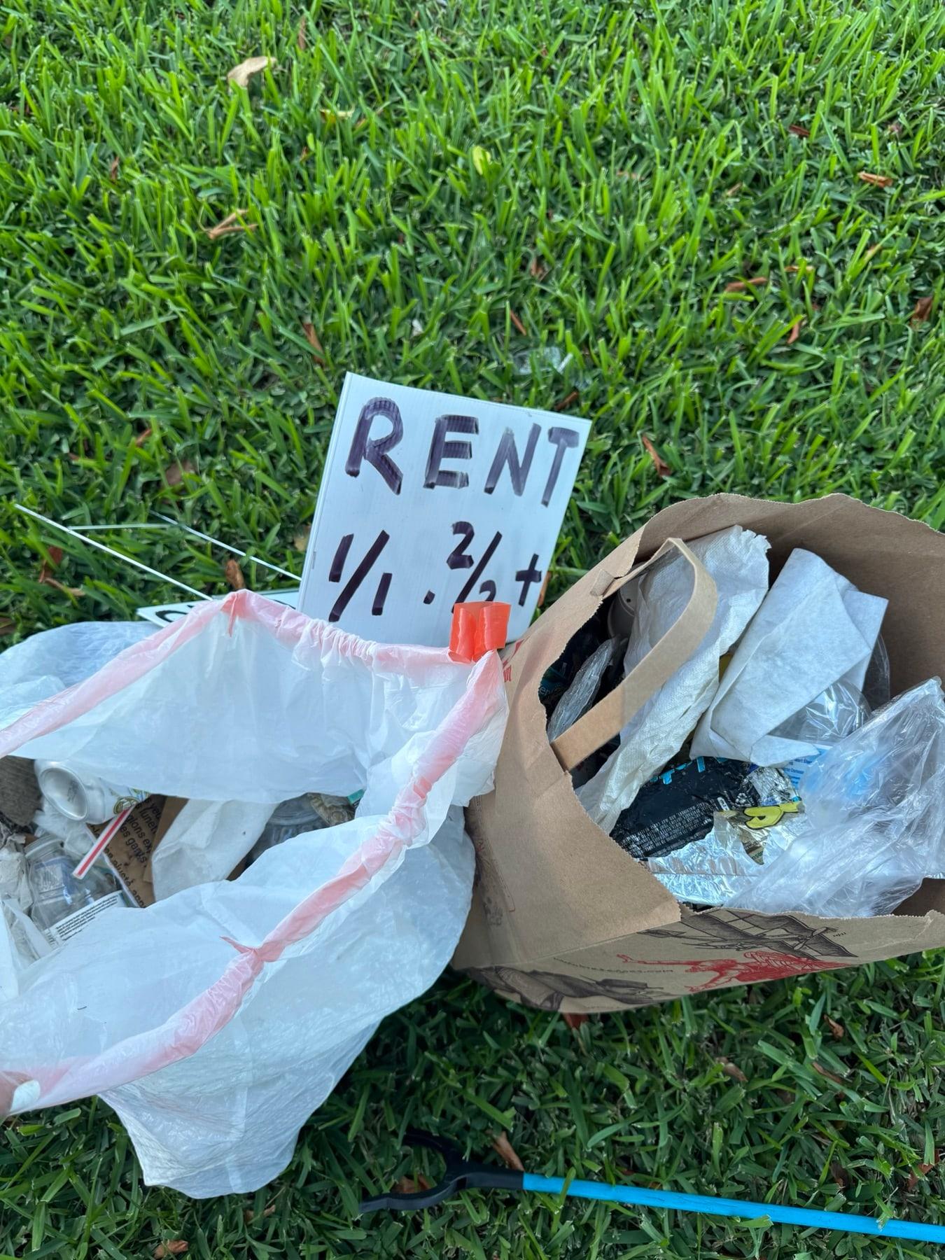 Bottles and cans laid out after being collected on a walk