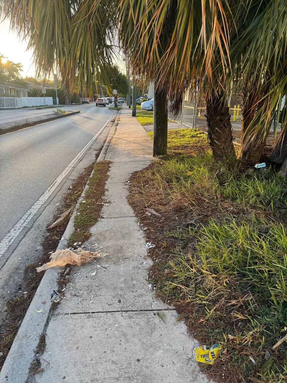 ADA / accessibility barrier